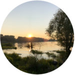 Biografie | Kiesiel: Foto vom Bodensee als Symbol für die Sitzungsreise