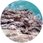 Biografie | Kiesiel: Foto beim Klettern am Kliff von Sagres als Symbol für die Sitzungsreise